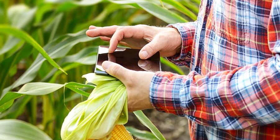 Como criar um Boletim de Colheita eficiente para maximizar a produção de sua plantação Como criar um Boletim de Colheita eficiente para maximizar a produção de sua plantação